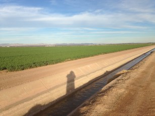 Brawley Imperial Valley Field
