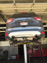 CA Barney getting new shoes