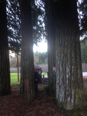 CA Redwoods Retiree Hide-and-seek