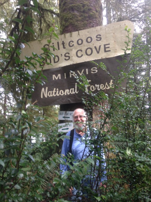 OR Mirvis National Forest