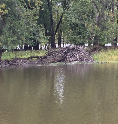 Beaver Dam